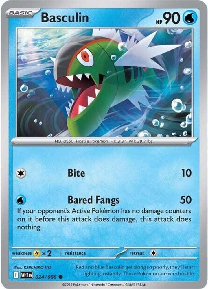 Basculin 024 SV White Flare - Common