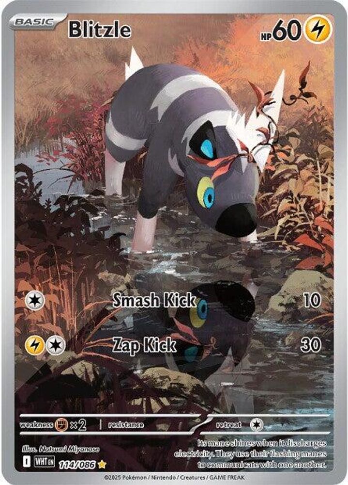 Blitzle 114/086 - Holofoil SV White Flare - Illustration Rare