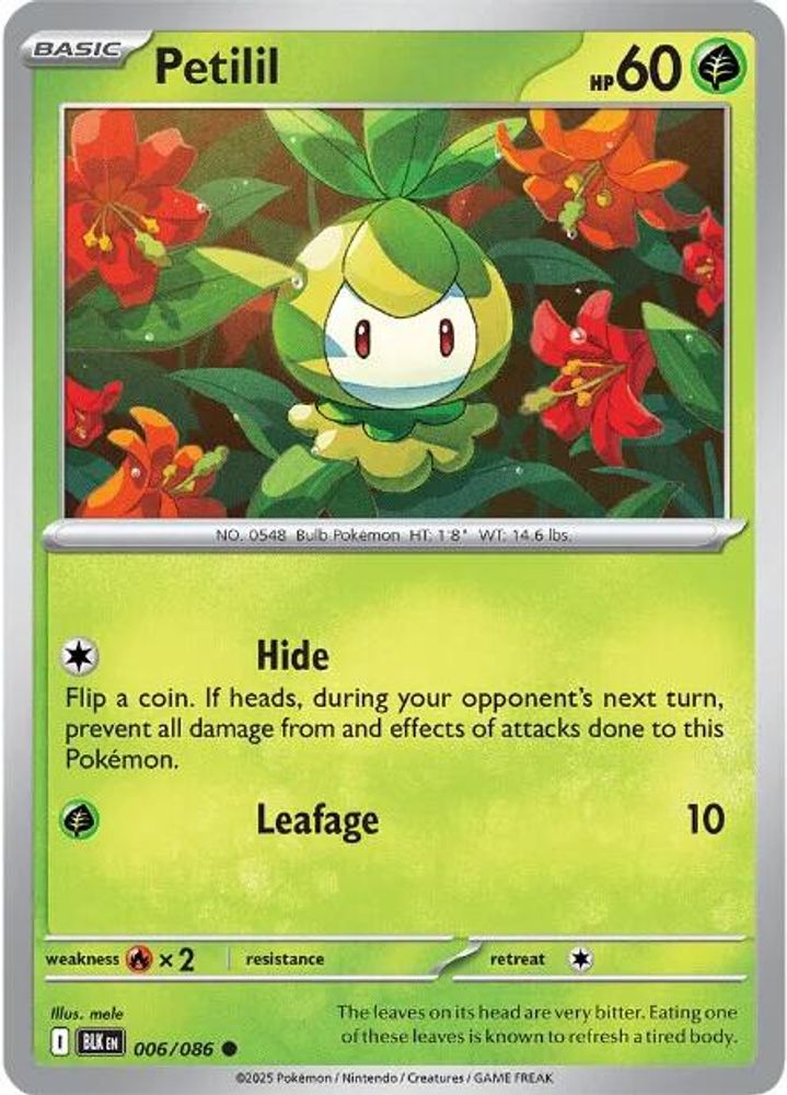 Petilil 006 SV Black Bolt - Common