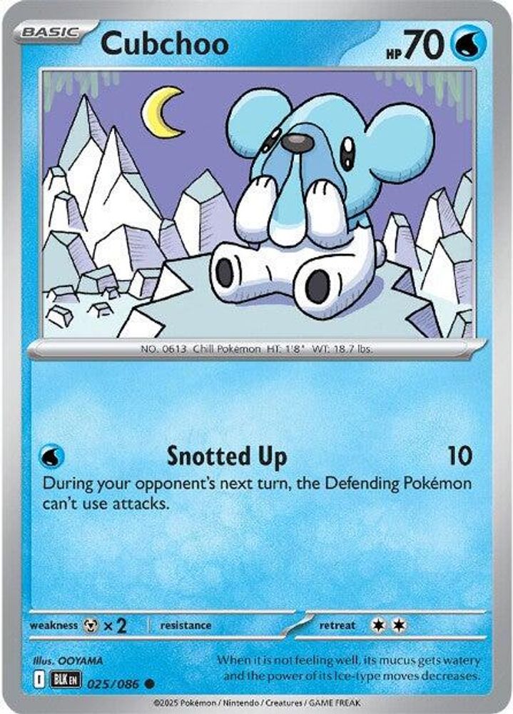 Cubchoo 025 SV Black Bolt - Common