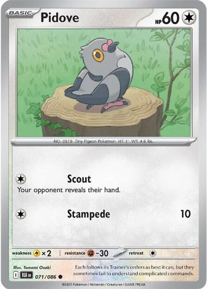 Pidove 071 - Reverse Holofoil SV Black Bolt - Common