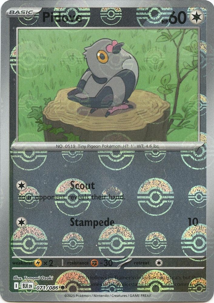 Pidove (Poke Ball Pattern) 071 - Holofoil SV Black Bolt - Common