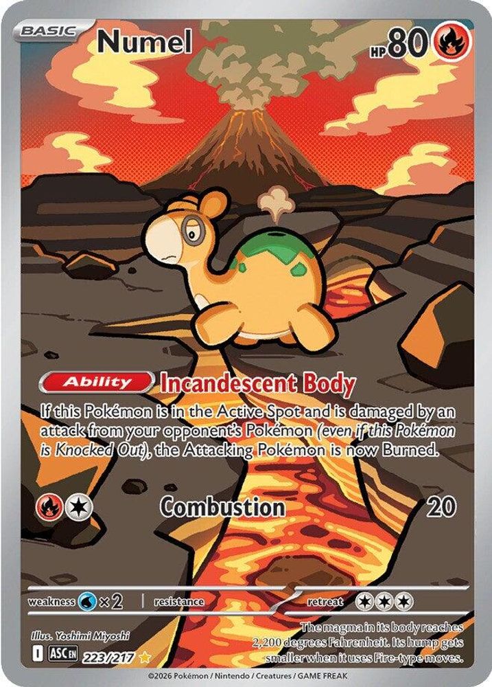 Numel 223/217 - Holofoil ME Ascended Heroes - Illustration Rare