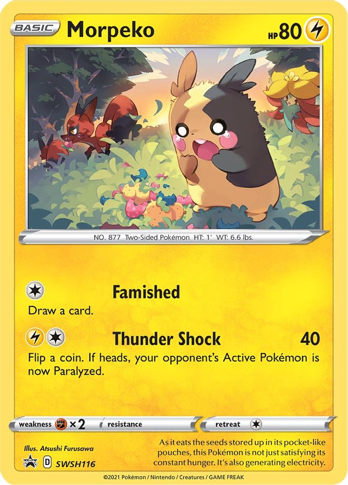 Morpeko SWSH116  - Holofoil SWSH Sword & Shield Promo Cards - Promo