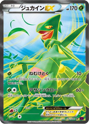 Sceptile EX - 082/081 (082/081) - XY7 Bandit Ring 1st Edition Holofoil