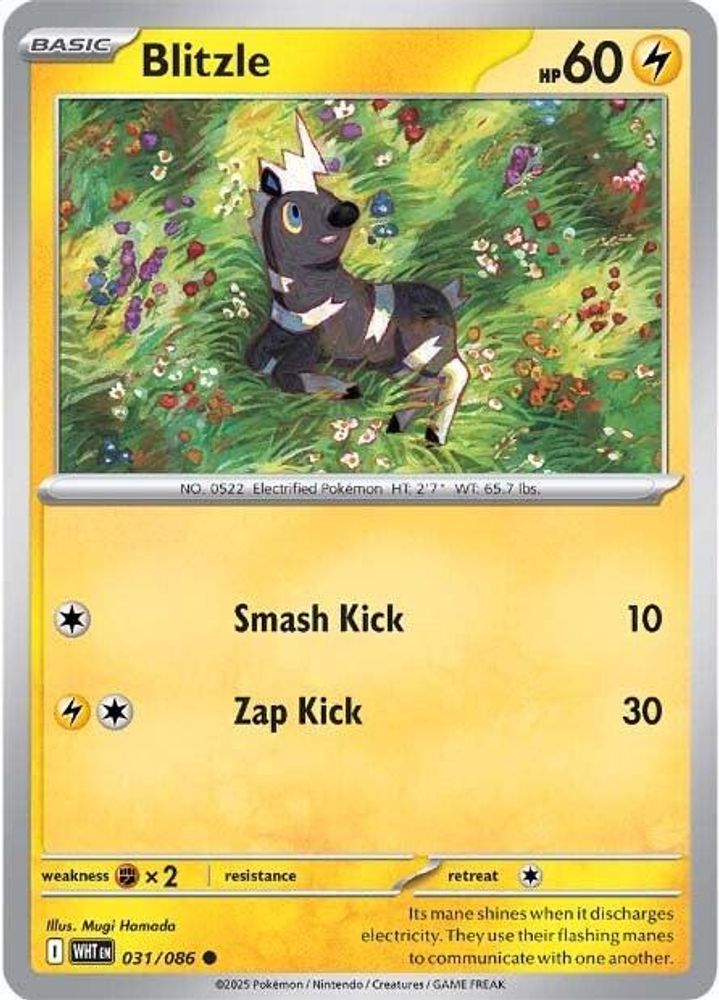 Blitzle 031  - Reverse Holofoil SV White Flare - Common