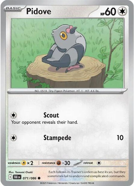 Pidove 071  SV Black Bolt - Common