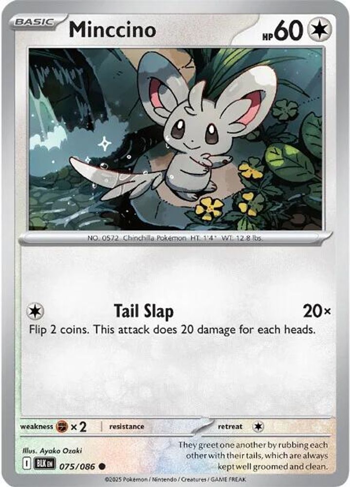 Minccino 075  - Reverse Holofoil SV Black Bolt - Common