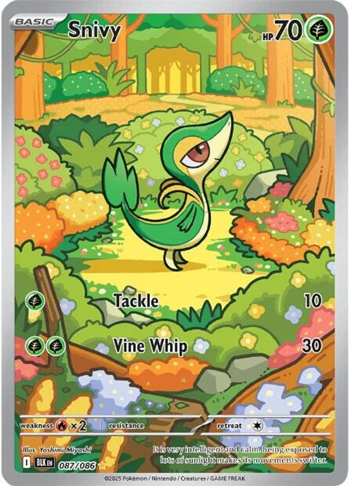 Snivy 087/086  - Holofoil SV Black Bolt - Illustration Rare