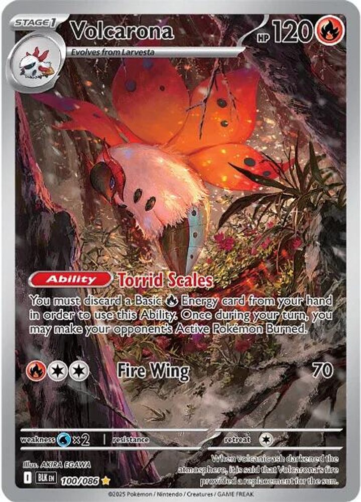 Volcarona 100/086  - Holofoil SV Black Bolt - Illustration Rare