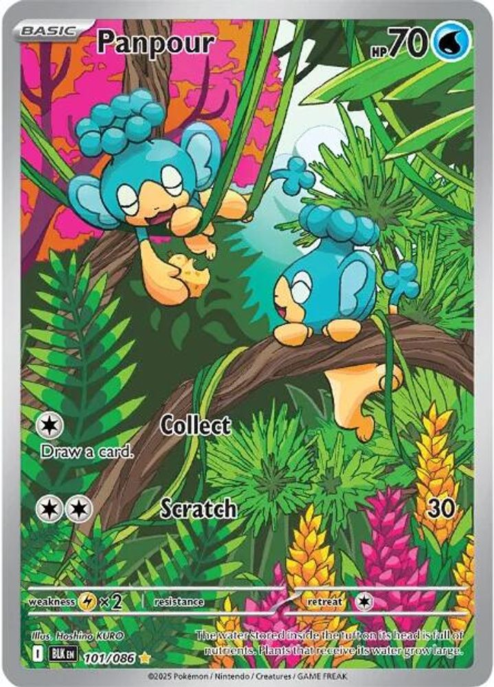 Panpour 101/086  - Holofoil SV Black Bolt - Illustration Rare