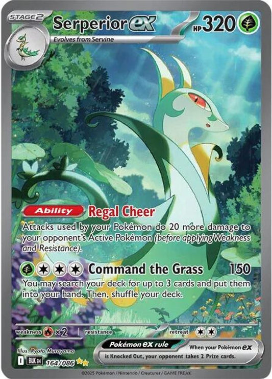 Serperior ex 164/086  - Holofoil SV Black Bolt - Special Illustration Rare