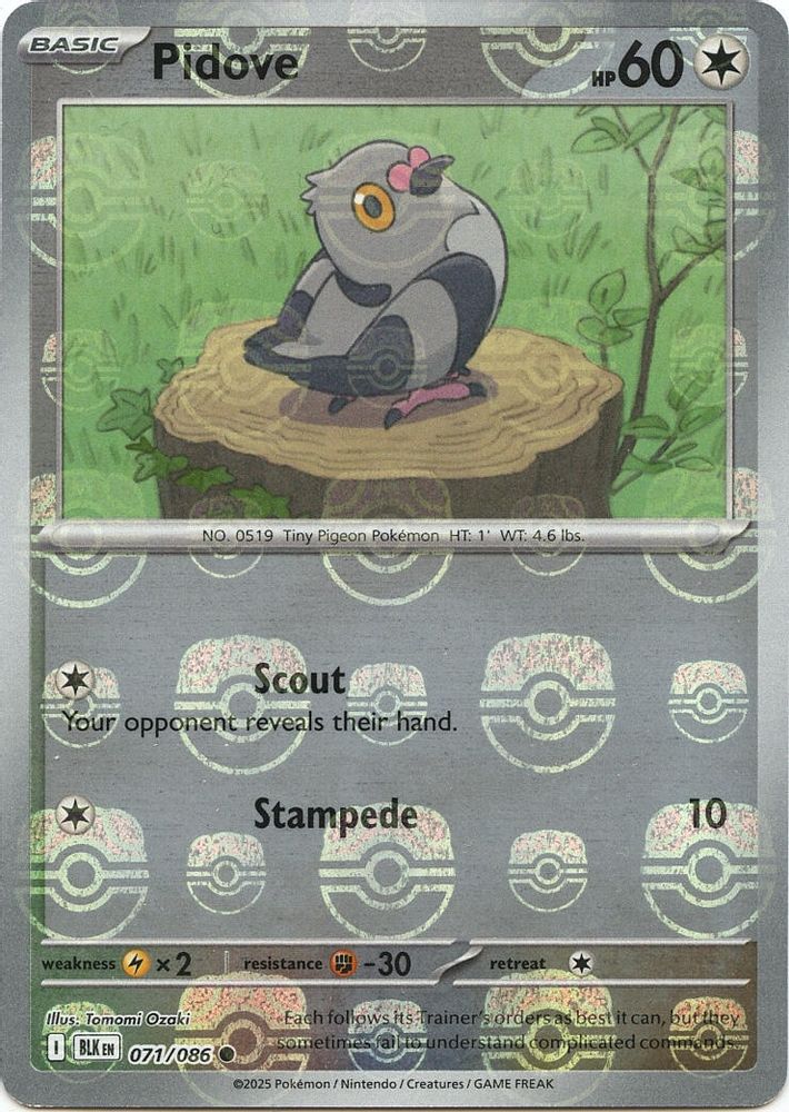 Pidove (Master Ball Pattern) 071  - Holofoil SV Black Bolt - Common