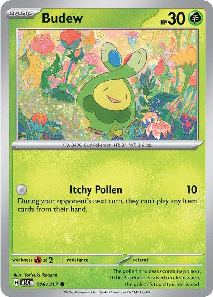 Budew 016/217  ME Ascended Heroes - Common