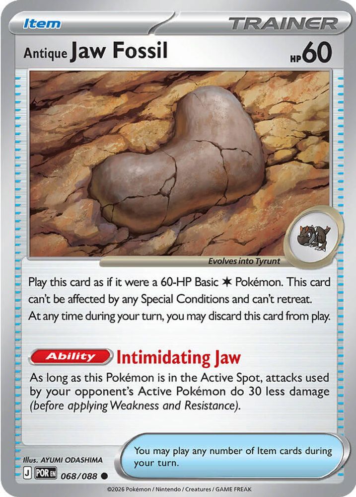 Antique Jaw Fossil 068  ME03 Perfect Order - Common
